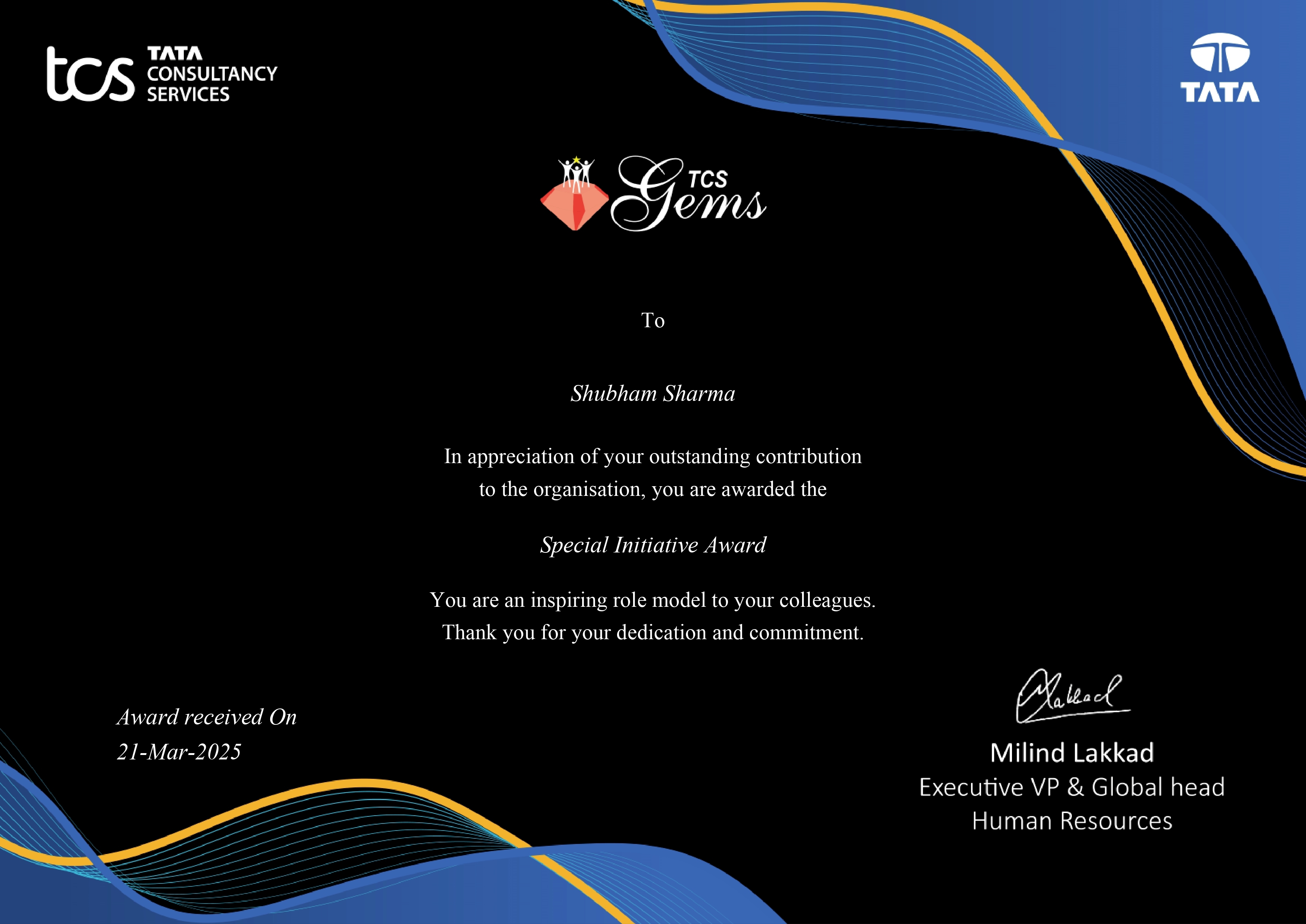 Special Initiative Award